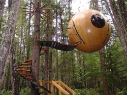 Ewok Tree House