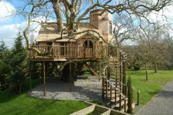 Homes  Sale on 10 Astonishing Treehouses You   D Love To Live In   International