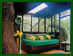 Waipio Valley Treehouse