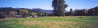 Luxury Property For Sale in Nelson / Tasman District, South Island, New Zealand