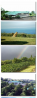 Hawaiian Estate/Retreat/Kona Coffee
Plantation - Kona Coast, Hawaii