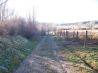 VINEYARD AND HOBBY FARM!