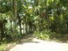 LUXURY RESORT FOR A ROCKSTAR (RECORDING STUDIO&HEALTH RETREAT)