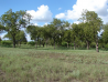 Land For Auction - Pecan Creek Ranch - Yancey Texas USA