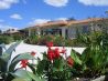 Palm View House