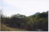 12 Lots on Gulf of Nicoya