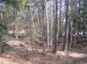 3 Large Permitted Building Lots