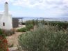 Paros Sunny House