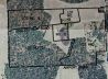 Huge Real Estate Auction! 10 Lots of 124 Acre Sub-Division & 94.6 Acres Open & Wooded