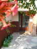 Casa Uliveto (House in an Oliive Grove)