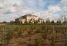 VitiVista - hilltop vineyard 
