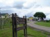 SMOKY HILL VINEYARDS & WINERY AUCTION! Salina, Kansas