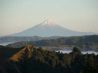 International Lifestyle Taranaki, 360 views, Native Bush-Mountains-Coastal