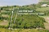 11 ACRES WITH SEASONAL PUSLINCH LAKE VIEWS (45 MIN TO TORONTO)