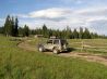 Incredible Destination Resort - Albany Lodge
