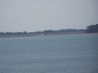 Prime Acreage on Lake Hartwell - 78 Acres One Mile of Shoreline