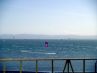 Home on San Francisco Bay
