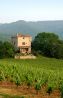 Luxury Chateau For Sale in Languedoc Wine Region Of France