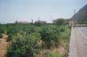 EXCELLENT INVESTMENT PROPERTIES