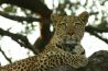 Mkuze Nyala Game Farm and Lodge