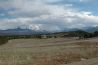 Callicotte Ranch Auction