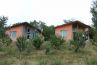 Two Bulgarian village houses in the foot of a mountain!!!