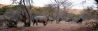 Portion of Beautiful Game Farm with Lodge & house