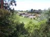 GRACIE RIDGE