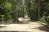 Los Arboles Tulum