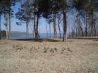 40 Fabulous Acres With Vista View On Greers Ferry Lake