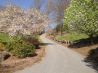 ON_LINE AUCTION - MAGNIFICENT MOUNTAIN PARADISE - NORTH CAROLINA