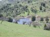 Amazing opportunity to own working winery 