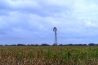 West Farm Auction - 5 Tracts of Pasture & Cropland