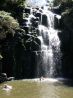 Your own waterfall and beautiful home on 2 landscaped acres in the Bay of Islands, or included in a 11 acre package with 3 titles. 