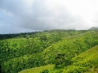 Prestigious Property  - Land For Sale in Tahiti French Polynesia