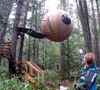 Globe Tree House.