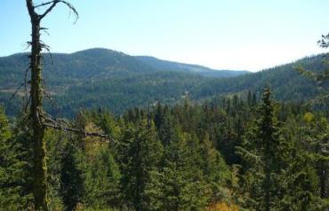 192 Acres of Prime Sub dividable Recreation land . Near Red Mountain Resort British Columbia .  