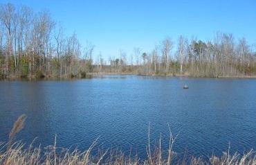 Absolute Auction 407 Acre Farm & Hunting Paradise
