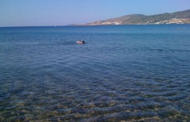 LOVELY 2-DOUBLE BEDS APARTMENT NEW BUILT 80M DISTANCE FROM BLUE FLAG SANDY BEACH IN TURKEY