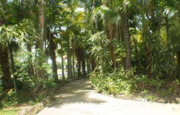 LUXURY RESORT FOR A ROCKSTAR (RECORDING STUDIO&HEALTH RETREAT)