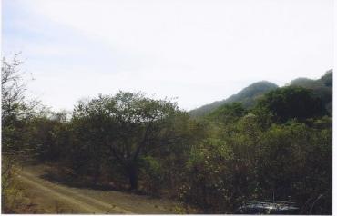 12 Lots on Gulf of Nicoya