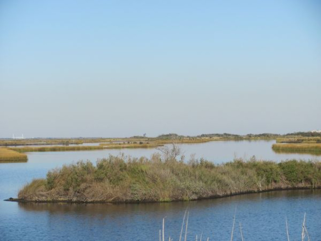 8029 Acres Black Lake Land Company - Louisiana, United States