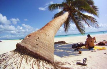 Lux Retirement Investment Property condominium building 3 units