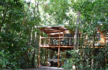 Rainforest haven with total privacy