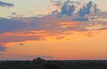 Exotic Game Farm Bordering Botswana