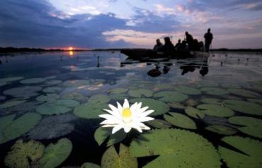 Okavango Delta, Botswana
