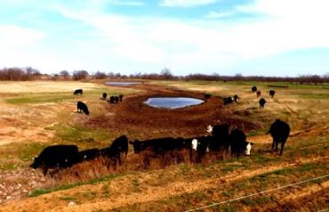 AUCTION * 414± ACRES SOUTH TULSA, OK * MAY 21 10:00