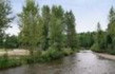 Wells Gray Golf Resort and RV Park