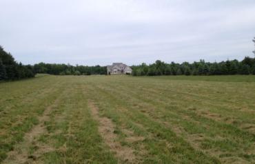 Natural Gas Opportunity