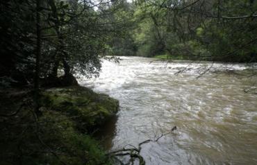 TWO WATERFRONT PROPERTIES FOR SALE AS A PACKAGE - LAKE HOUSE & RIVER CABIN (OR SEPARATE)